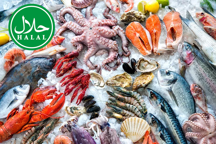 Celebrate Ramadan with Fish and Seafood: A Halal Sustainable Source of Nutrition!