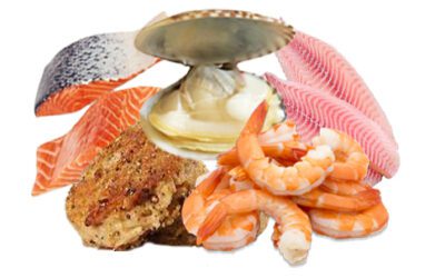 Popular Seafood Lent Practices & Dishes!
